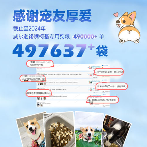 柯基成犬狗粮营养润毛大屁股科基狗粮柯基成犬30斤柯基犬专用狗粮 - 图2