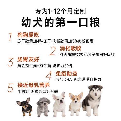 威尔逊馋嘴天然粮小型犬5kg贵宾泰迪专用幼犬冻干狗粮10斤犬主粮 - 图0