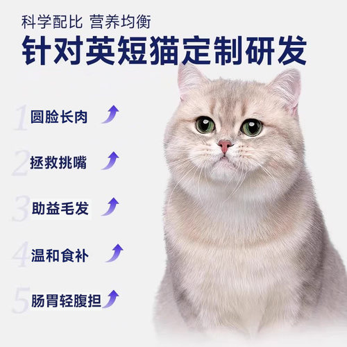 威尔逊馋嘴 英短专用猫粮蓝白蓝猫助益毛发冻干粮营养长肉猫粮 - 图0
