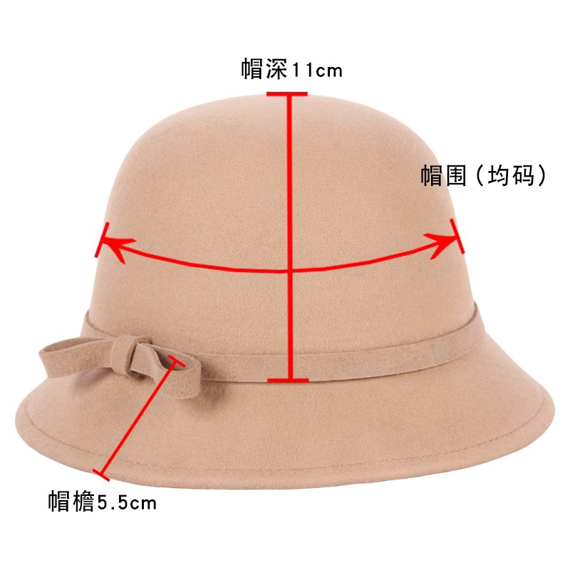 帽子中老年新款户外纯羊毛盆帽欧美英伦风女士礼帽秋冬季保暖毡帽 - 图2