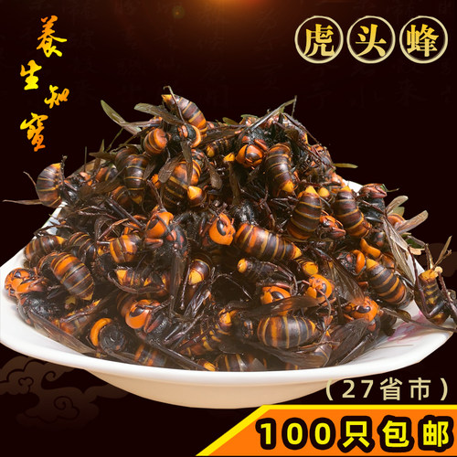老虎蜂地洞蜂金环大虎头蜂活蜂现泡视频马蜂胡蜂赛红娘大黑蜂包邮 - 图0