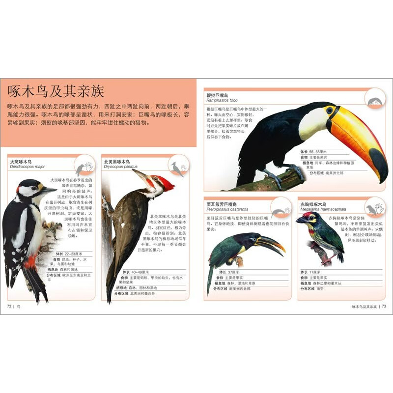 DK儿童迷你百科全书（全12册）恐龙古罗马古埃及昆虫人体动物太空地球可也哺乳动物岩石矿物犬学生儿童口袋百科书籍 - 图3