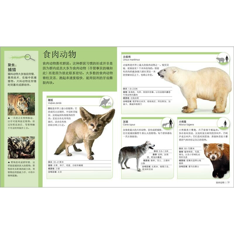 DK儿童迷你百科全书（全12册）恐龙古罗马古埃及昆虫人体动物太空地球可也哺乳动物岩石矿物犬学生儿童口袋百科书籍 - 图2