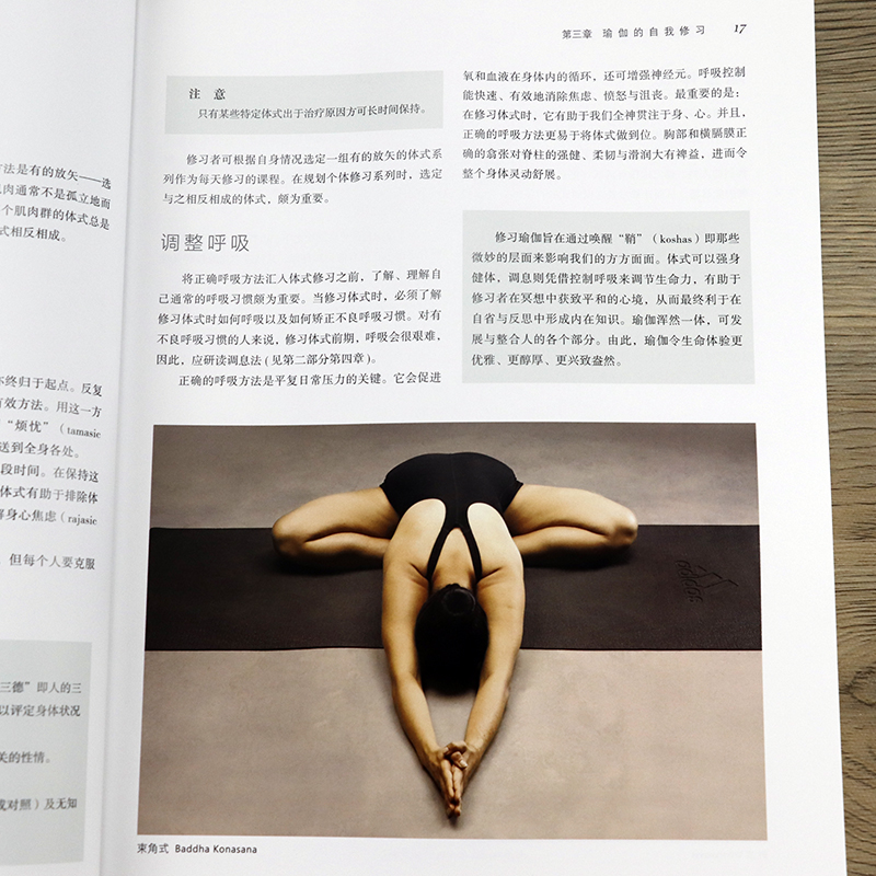 瑜伽的终极力量 娅米妮穆萨那著瑜伽基本知识室内运动美体减肥普拉提DK哈达瑜伽之光冥想书籍印度瑜伽艾扬格做序之树体能训练书籍 - 图1