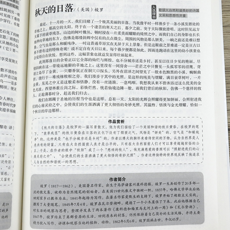 最美的散文//经典励志人生哲理文学正版书籍诗歌随笔朱自清鲁迅老舍冰心闻一多等精选大全集泰戈尔中外名家散文