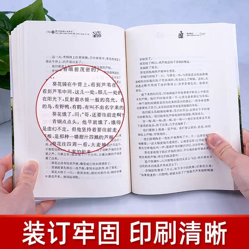 同名电影5月8号全国上映 青铜葵花正版曹文轩原著完整版 纯美小说系列 入选人教社四年级下语文教材 小学生课外阅读书籍 - 图2