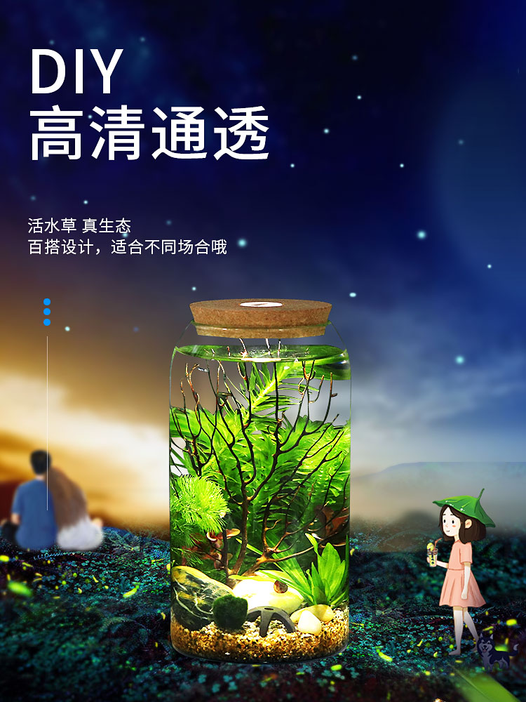 高脚杯生态瓶鱼免换水打理微景观科学用diy作业办公桌面造景鱼缸 - 图1