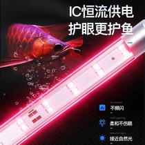 FISH TANK LAMP LED LIGHT WATERPROOF WATER GRASS DIVING LIGHT AQUARIUM FLOODLIGHT FOR BRIGHT RED DRAGON LIGHT PIPE SEVEN COLORFUL FISH SMALL