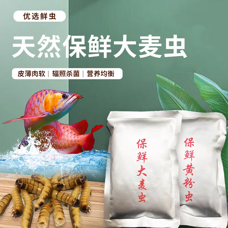 龙鱼饲料森森保鲜大麦虫面包虫黄粉虫鹦鹉鱼食银龙鱼乌龟鸟宠饲料-图3