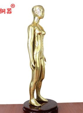模型针灸铜人摆件工艺品