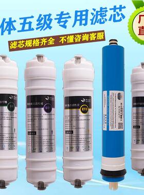 迪曼斯顿净水器DM-RO100G 反渗透家用直饮净水机全套五级通用滤芯