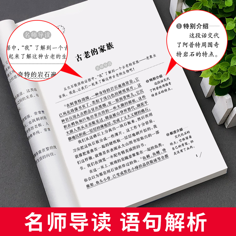 昆虫记法布尔正版原著完整版小学生三年级四五年级六年级下册必读书籍课外世界名著全集初中青少年人民少年儿童文学读物快乐读书吧-图1