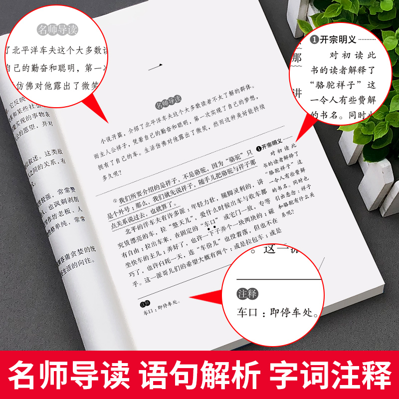 骆驼祥子原著正版老舍七年级必读原版无删减小学生五年级六年级名著初中课外书人民文学教育课程化读本书籍中国文学小说完整版td