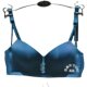 Zipian Glossy Seamless Wireless Comfortable Bra for Small Breasts