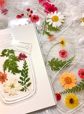 天然干花压花幼儿园创意节日活动