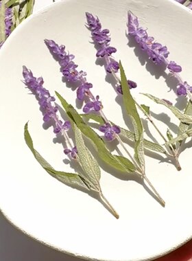 串紫带叶子滴胶手机壳手工diy