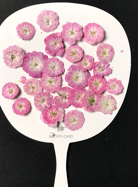 儿童干花压花滴胶台灯
