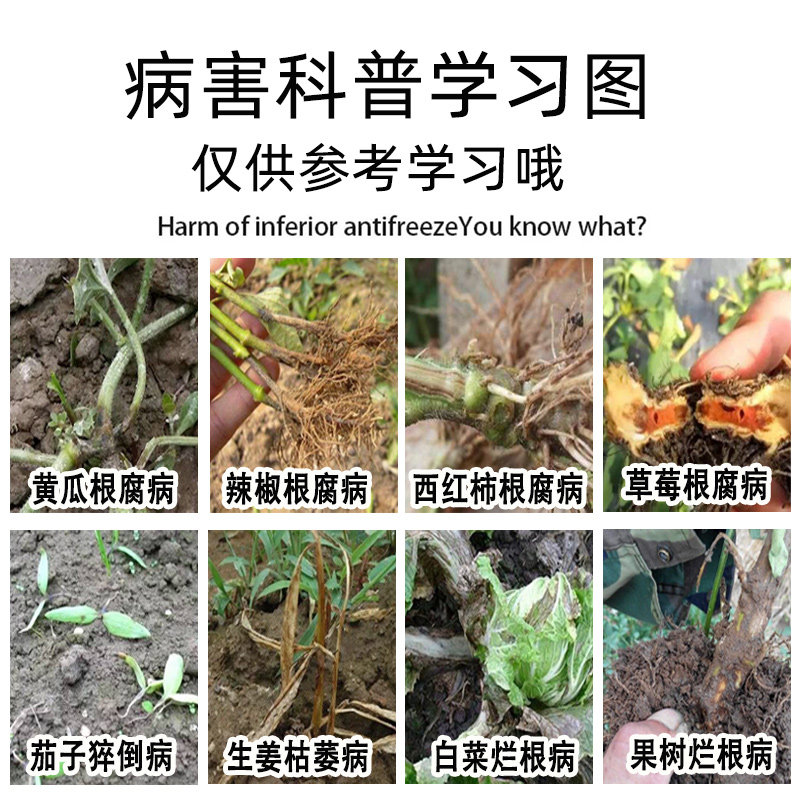 烂根剂根腐灵恶霉灵根腐病立枯病青枯病杀菌剂农药根腐宁烂根死苗_虎窝淘