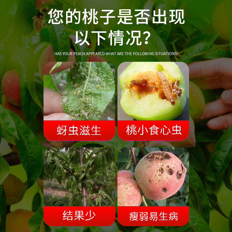 桃树专用药杀虫病菌清专用肥杀菌剂复合肥料流胶病卷叶病农药套餐 - 图2