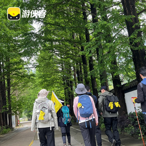游侠客上青古道1日8km入门徒步悠悠古道竹影斑驳碧绿水库上海往返 - 图3