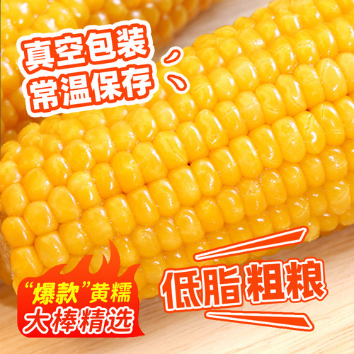 东北农嫂黄糯玉米礼盒8根装2kg软糯香吉林原产低脂粗粮真空玉米B - 图3