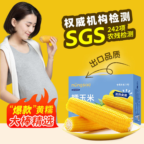 东北农嫂黄糯玉米礼盒8根装2kg软糯香吉林原产低脂粗粮真空玉米B - 图1