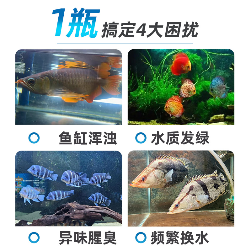 【国家专利】鱼缸净水活菌宝速净不换水安全不伤鱼水族观赏鱼专用 - 图1
