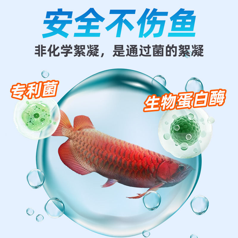 【国家专利】鱼缸净水活菌宝速净不换水安全不伤鱼水族观赏鱼专用 - 图2