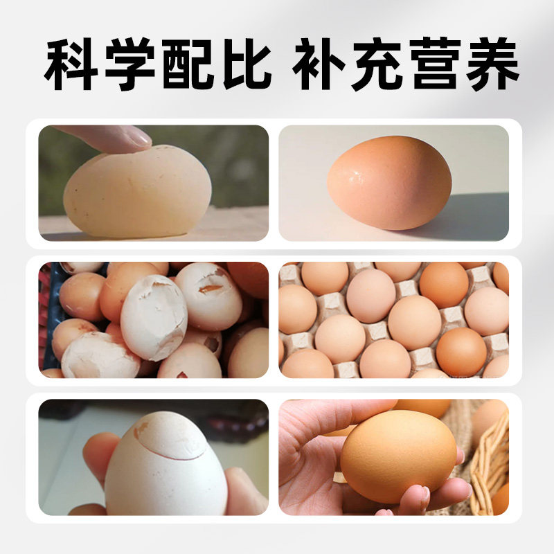 蛋多多黄芪多糖芦丁鸡鸭鹅鹌鹑鸽子蛋满窝蛋禽用补钙益母草添加剂