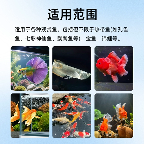 Специально для печени и желчного пузыря для аквариумных декоративных рыб, защищает печень и желчный пузырь, способствует абсорбции, снимает стресс, защищает печень и желчный пузырь, разведение кишечных рыб в аквариуме