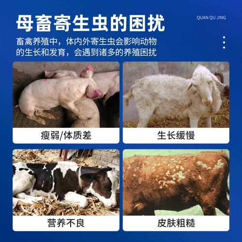 Антигельминтный препарат для ветеринарного применения является полностью репеллентным для свиней, крупного рогатого скота, овец, кур, уток и гусей. Противогельминтный препарат Байчунцин можно применять для внутренней и наружной дегельминтизации беременных животных.