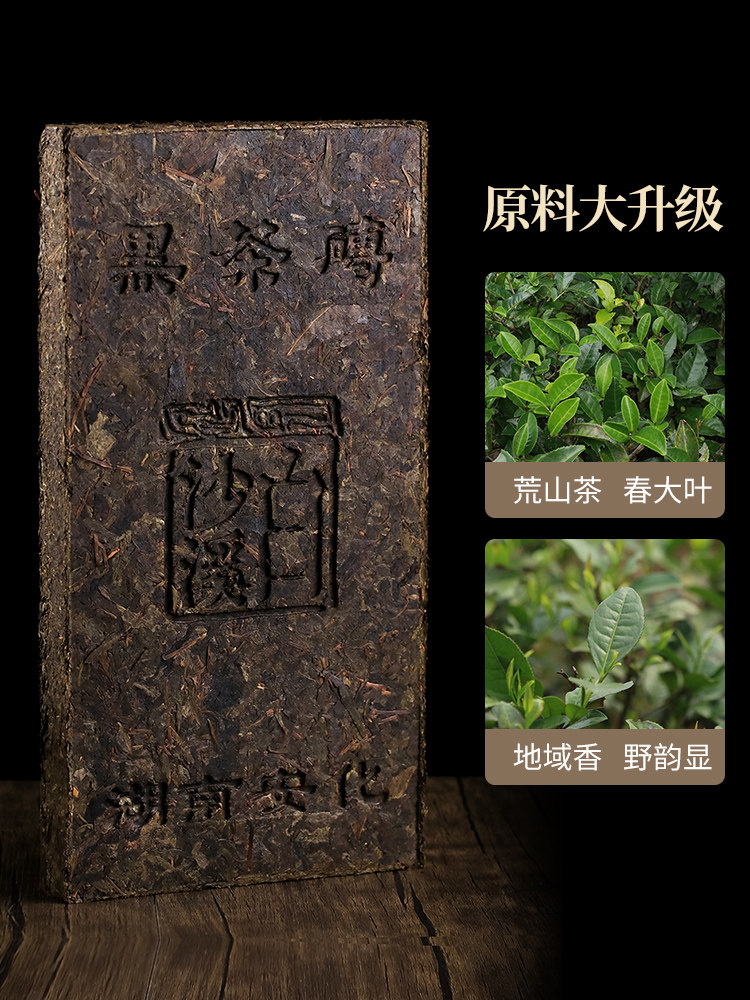 探寻黑茶之源：安化黑茶的魅力