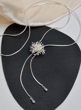 轻奢小众可调节长款项链