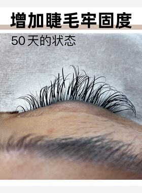 MTP中国睫毛胶水加固剂