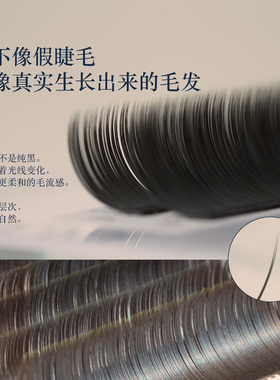 MTP体验装云朵单根扁毛黑茶棕