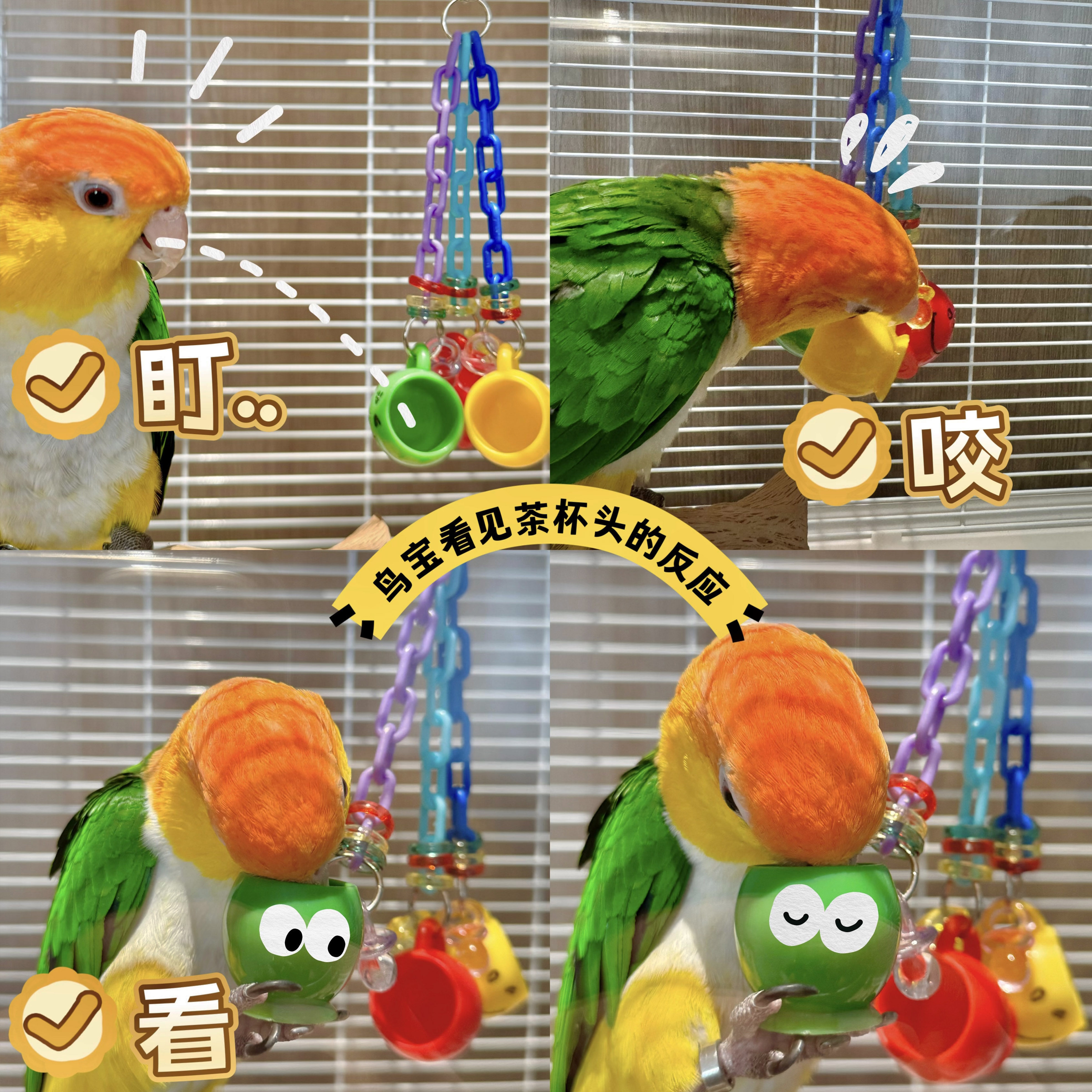 鹦鹉玩具解闷自嗨小鸟啃咬大全玄凤小太阳牡丹觅食丰容互动套装,淘宝优惠券,粉丝福利购,淘宝优惠卷