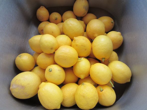 柠之恋安岳黄柠檬新鲜三级果5斤装有坏包赔农家绿色种植-图2