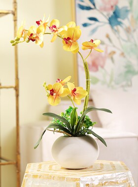 仿真蝴蝶兰花艺套装摆件
