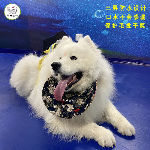 宠物狗狗口水巾围脖中大型犬金毛萨摩耶阿拉斯加夏季防口水狗围巾 - 图1