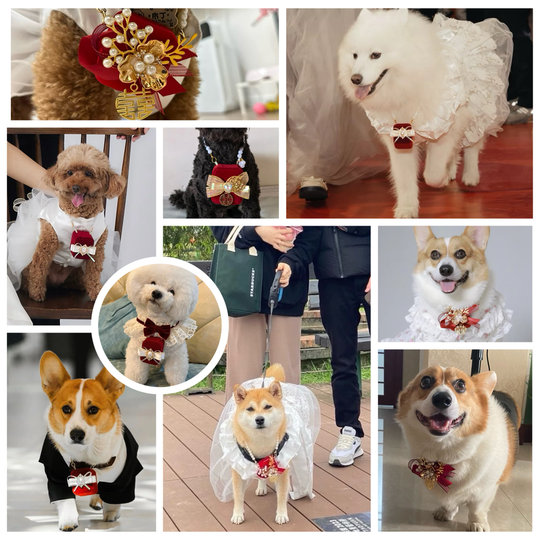 Ring box for dog wedding, ring bag for dog