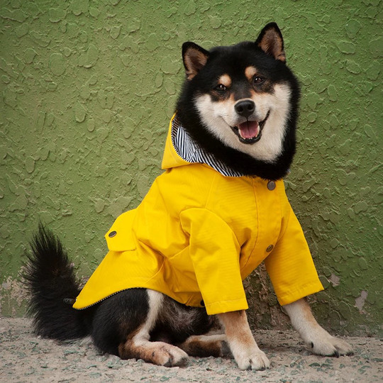 Pet Windproof and Rainproof Jacket Dog Waterproof Raincoat