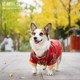 Dog festive Tang suit pet New Year clothes Corgi