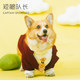 Short Leg Captain Dog Suit Wedding Dress