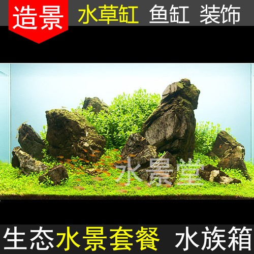 青龙石套餐石菲律宾沙白沙天然鹅卵石水草莫斯 - 图0