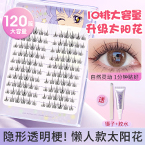 10 rows of bodybuilding beauty and research fake eyelashes womens sun flowers trilogy natural emulation eyelash sloth with self-sticky fairy hair