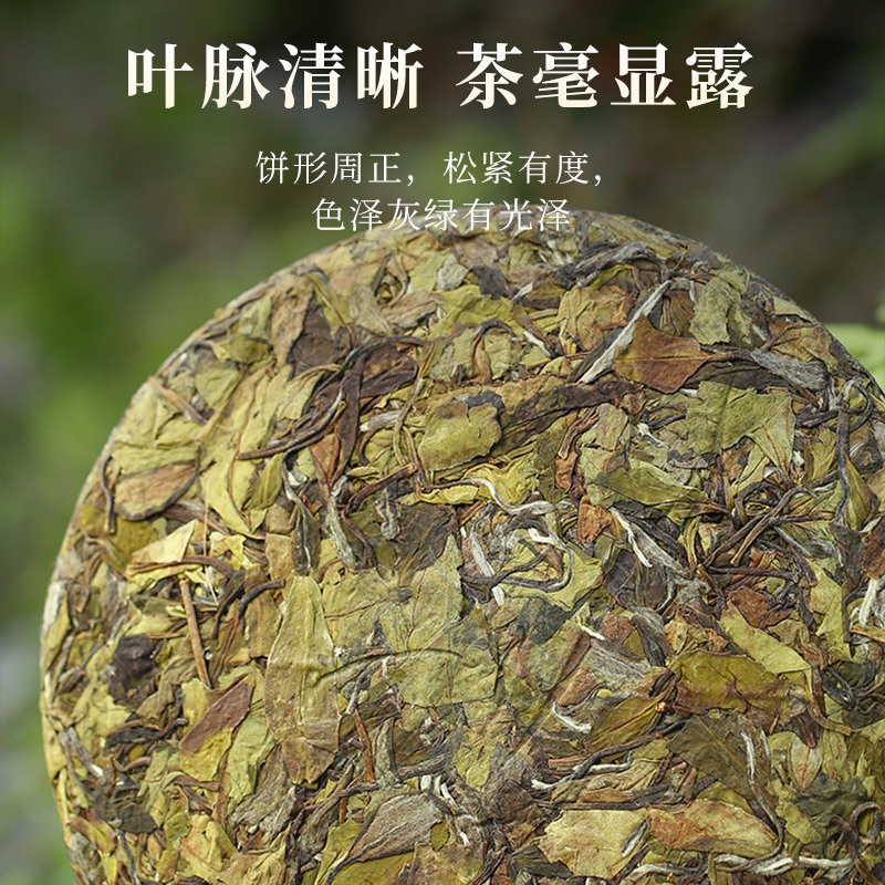 馥益堂正宗福鼎白茶2023春寿眉茶饼200g*5礼盒装白茶官方旗舰店 - 图1