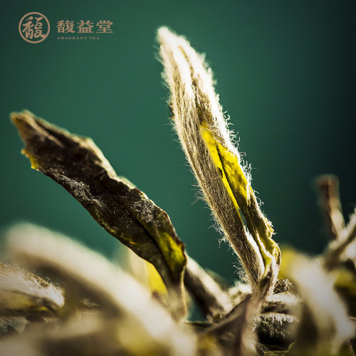 馥益堂福鼎白茶2022明前高山花香牡丹王特级白茶茶叶35g罐装散茶-图1