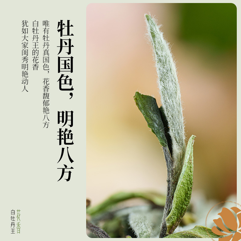 2025年春茶馥益堂福鼎白茶花香白牡丹王特级白茶茶叶老树高山茶 - 图2