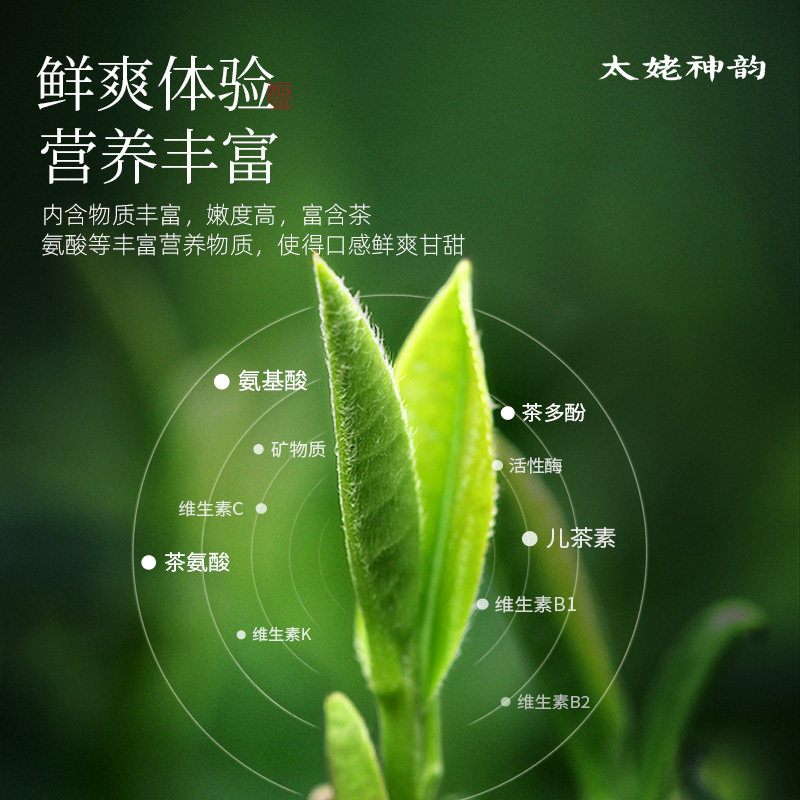 馥益堂2025年春茶太姥神韵白牡丹福鼎白茶150g松压茶饼礼盒装,淘宝优惠券,粉丝福利购,淘宝优惠卷