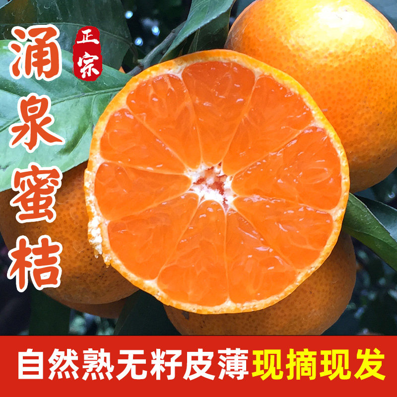 正宗临海涌泉蜜桔5斤新鲜水果橘子当季整箱黄岩桔现摘官方旗舰店,淘宝优惠券,粉丝福利购,淘宝优惠卷